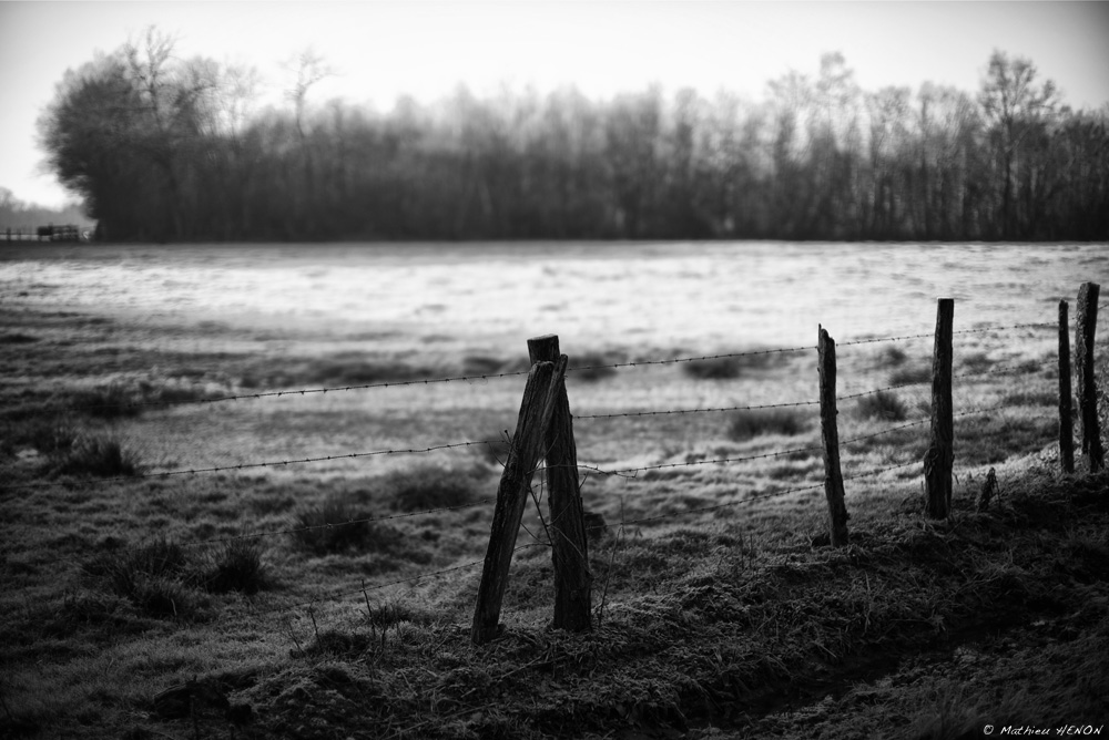 Campagne bourguignonne