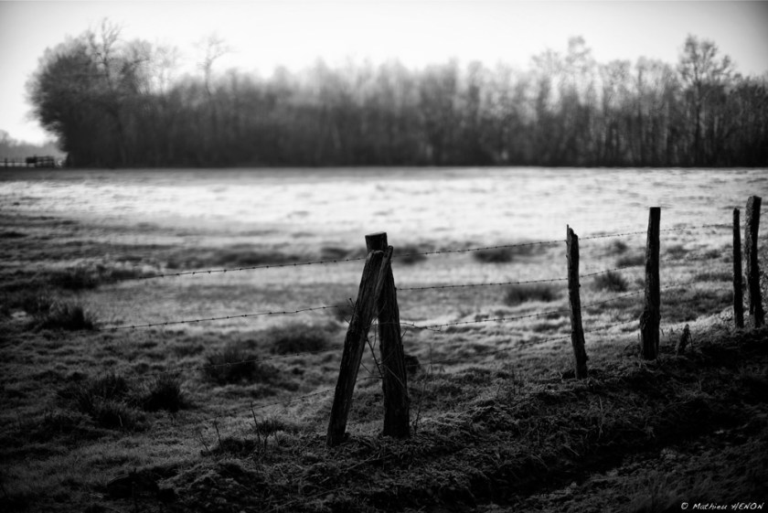Campagne bourguignonne