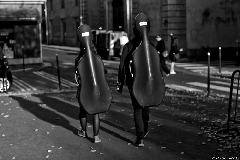 Les violoncelles