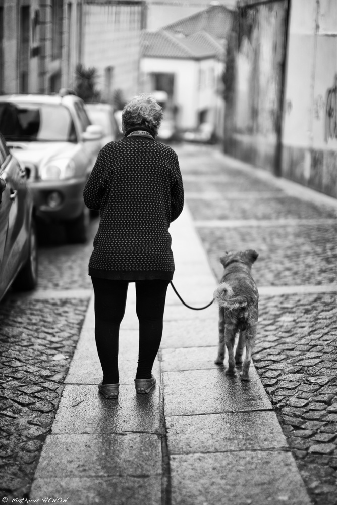 La sortie du chien.jpg