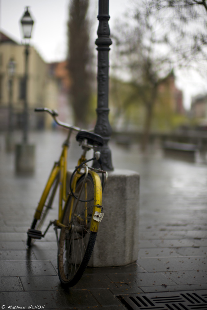 Le vélo jaune.jpg