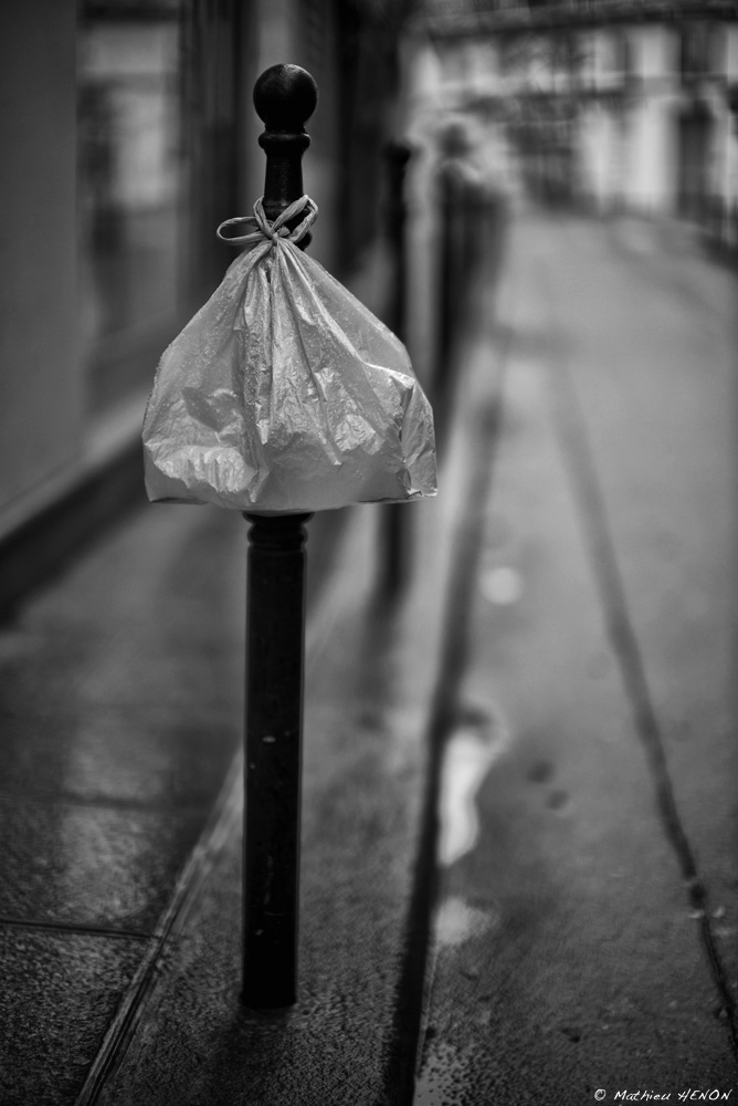Le sac en plastique.jpg