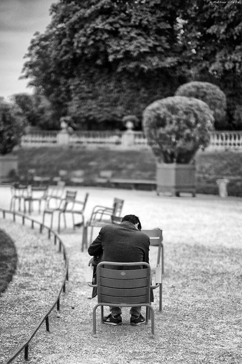 Siéger au Sénat.jpg