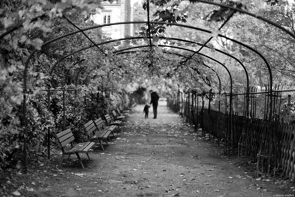 La leçon de choses.jpg