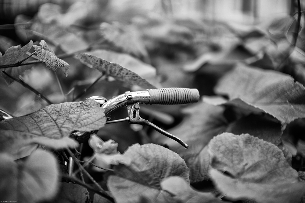 Le vélo écolo.jpg