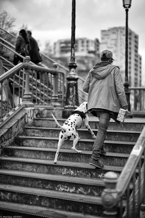 Passerelle Richerand.jpg