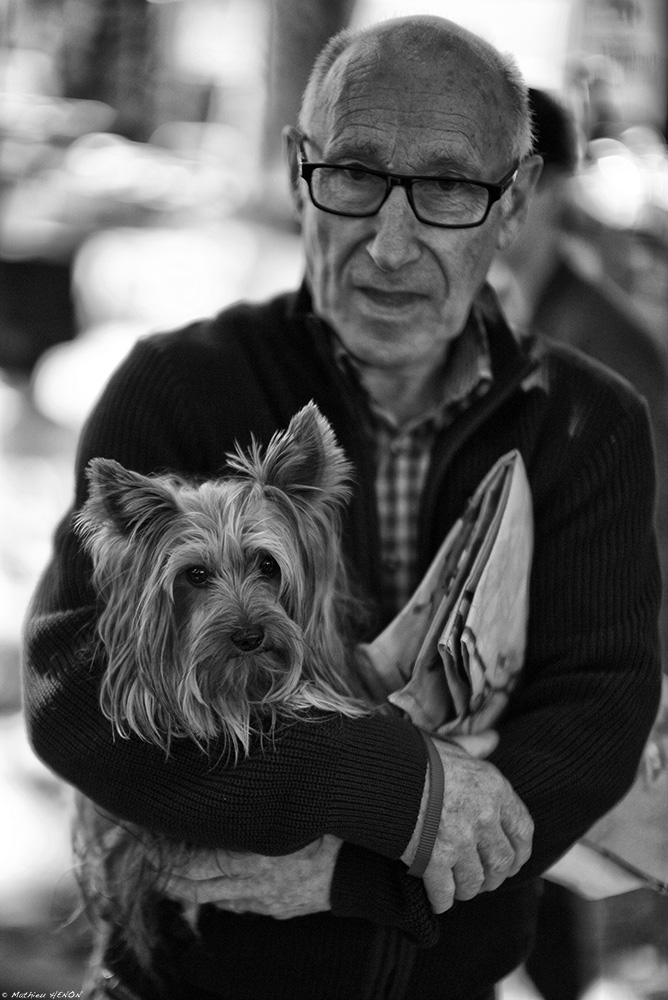 Une vie de chien.jpg