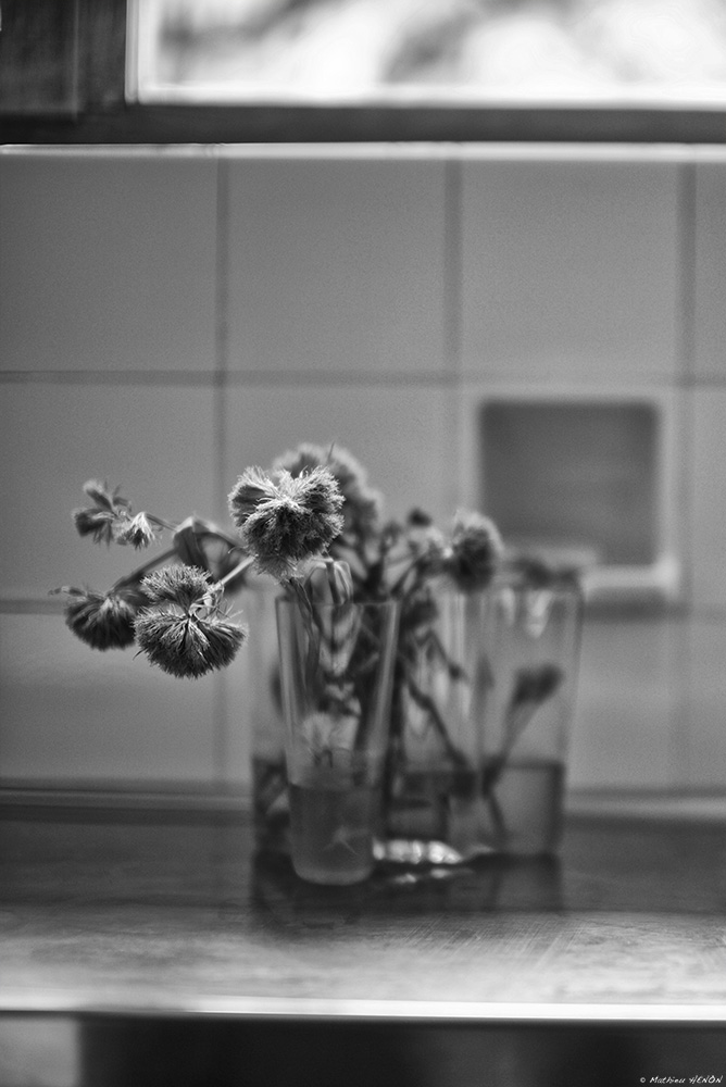 La vague d'Alvar et le Carré de Louis.jpg