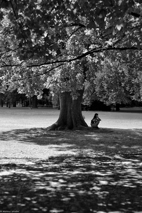 La faune & la flore.jpg