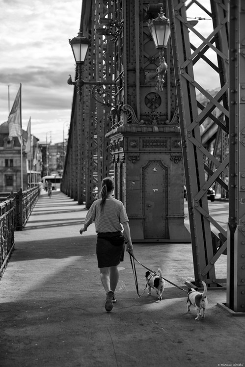 Première de cordée.jpg