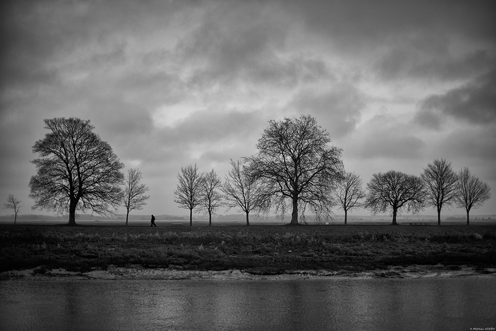 Le chemin des vieux amis.jpg