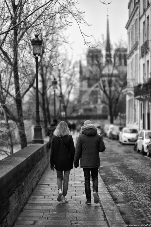 Les inséparables.jpg