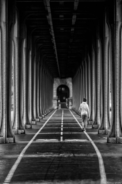 Le chemin tout tracé.jpg