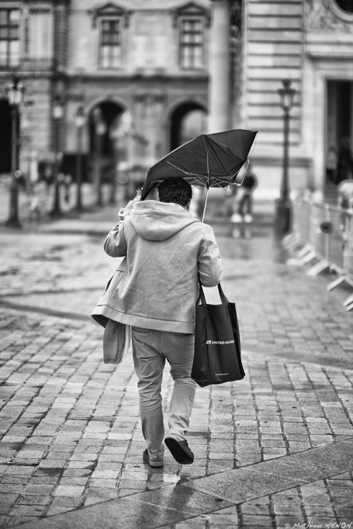 le chant des baleines.jpg