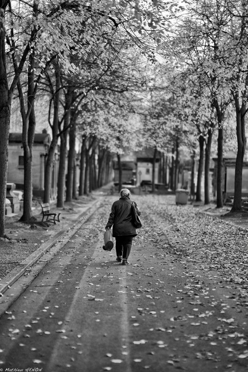 Cultiver les souvenirs.jpg