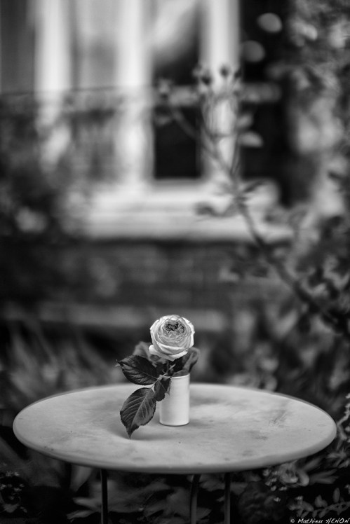 À en perdre la tête.jpg