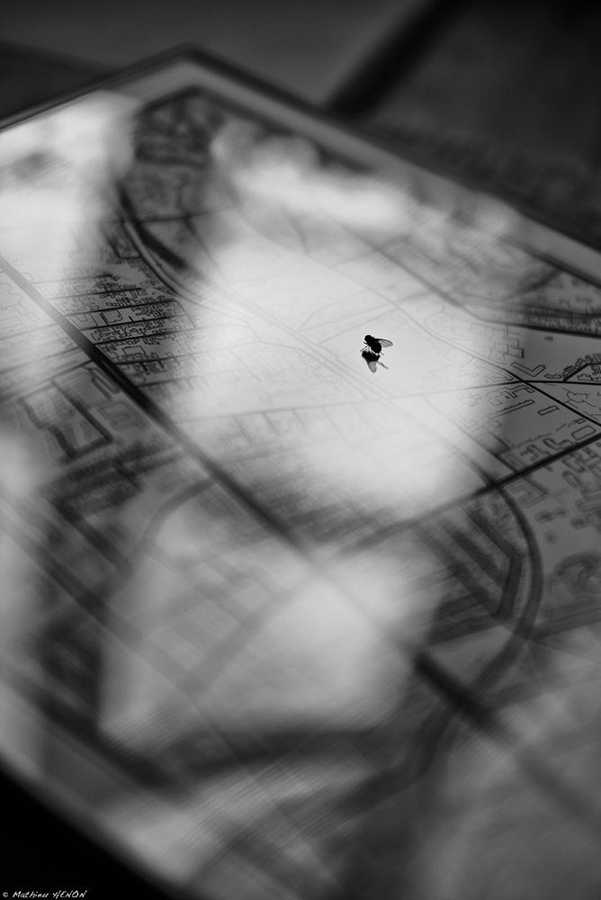 Jusqu'ici tout va bien.jpg