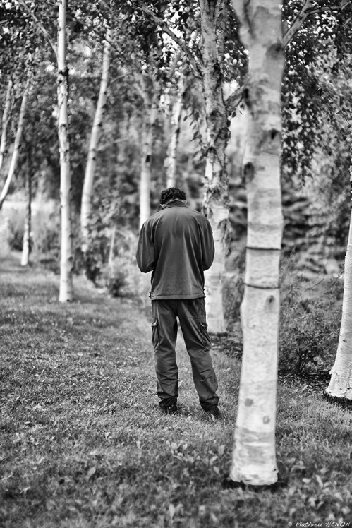 Encore une journée de bouleau !.jpg