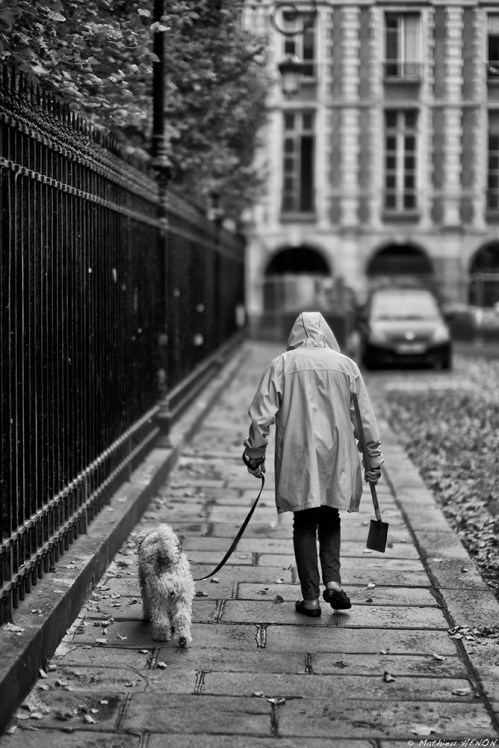 La pelle du 5 juillet.jpg